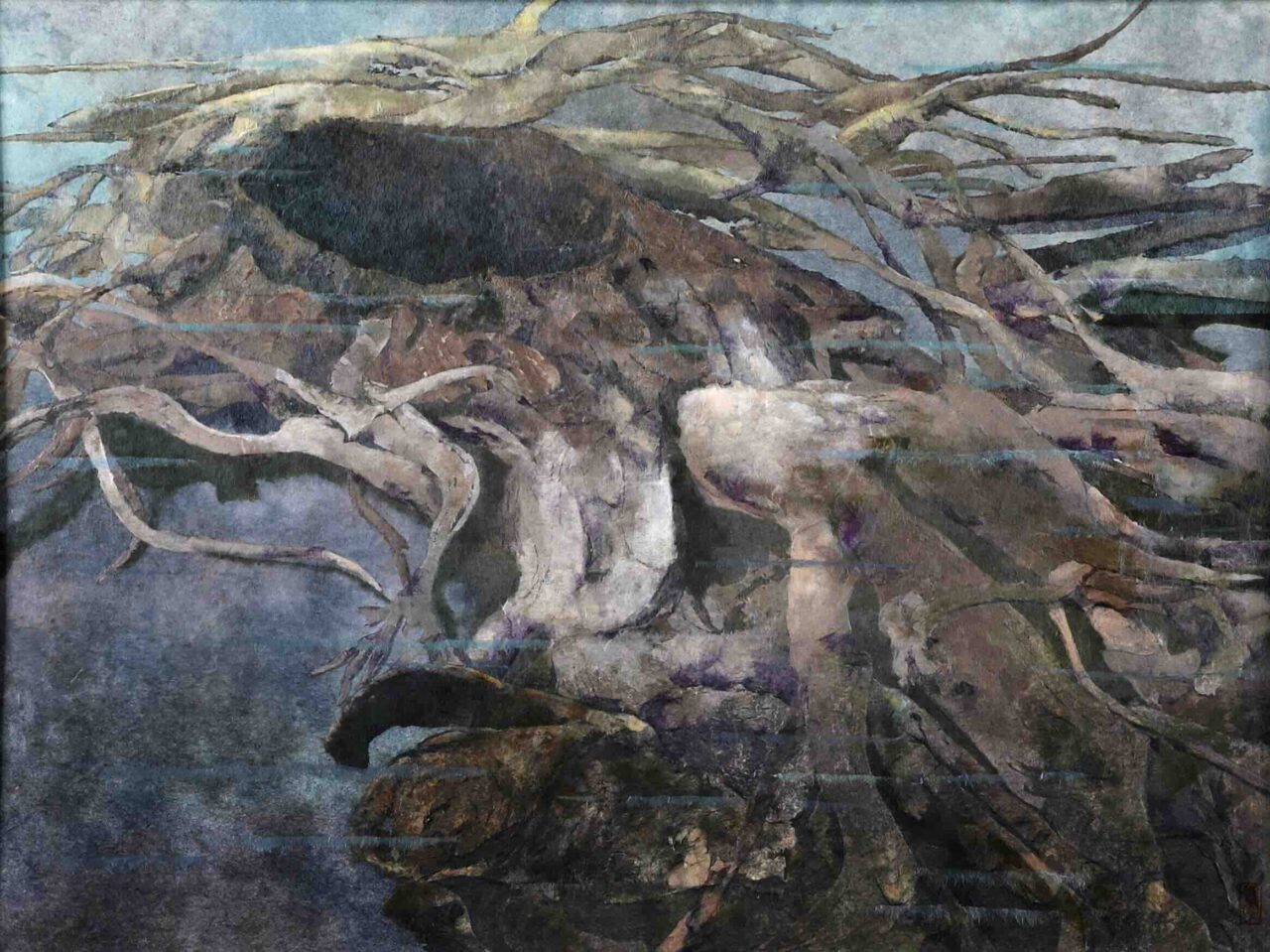 太古の命・埋没林