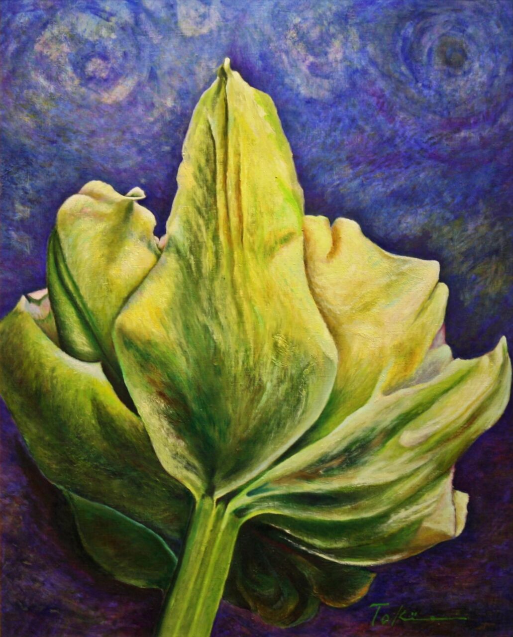 北の国の春のはじまり