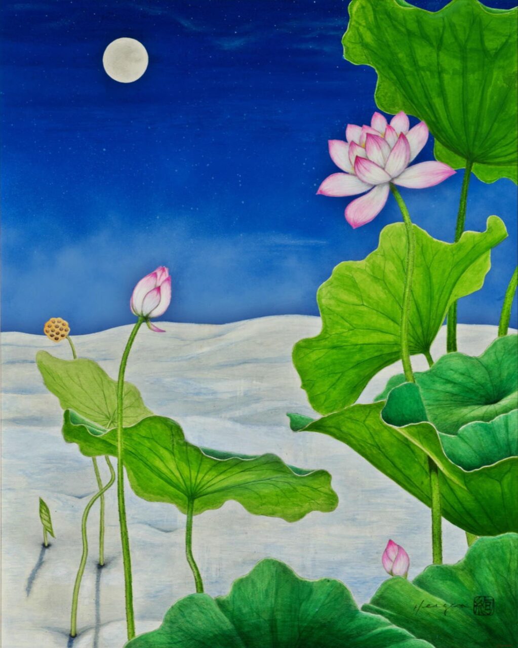 夢の途中「蓮の夢」