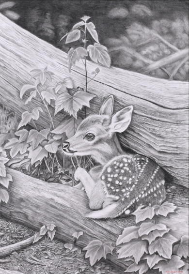 奨励賞 会友推挙 一般 Yuasa Ryoko 湯浅 亮子 鉛筆画 母待ち 728×515