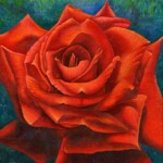 46 令和に遊ぶローズ 左時枝