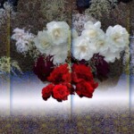 124 松本青樹 「花の幻想ー白い闇」