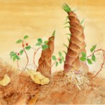 81 吉田迪子 「家族」