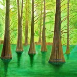 66 九大の森の落羽松 木原恵美