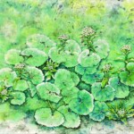 47  春の予感 平山尚子