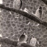 45 森の家族 原田耿太郎