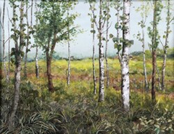 s-56 柳川 恵美子 北海道を旅して 12P 紙絵 s-56 柳川 恵美子 北海道を旅して 12P 紙絵