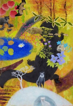 s-40 水沼 伴次 日本の野生の図鑑 50P ミクストメディア s-40 水沼 伴次 日本の野生の図鑑 50P ミクストメディア