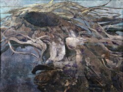 s-55 柳川 恵美子 太古の命・埋没林 20P 紙絵 s-55 柳川 恵美子 太古の命・埋没林 20P 紙絵