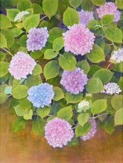 s-48 大西 千明 紫陽花 50F 日本画 s-48 大西 千明 紫陽花 50F 日本画