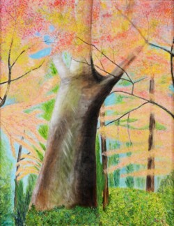 s-64 木原 恵美 宙に燃える紅葉 50F 油彩画 s-64 木原 恵美 宙に燃える紅葉 50F 油彩画