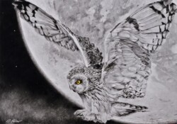 1 足代 利廣 FULLMOON 鉛筆 1 足代 利廣 FULLMOON 鉛筆