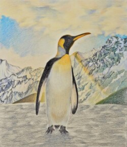 42 山下 純子 温暖化 色鉛筆 42 山下 純子 温暖化 色鉛筆