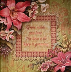 40 柳澤 清美 Garden Inspiration -Grow what you love シャドーボックスアート 40 柳澤 清美 Garden Inspiration -Grow what you love シャドーボックスアート