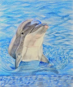 43 山下 純子 愛嬌 色鉛筆 43 山下 純子 愛嬌 色鉛筆