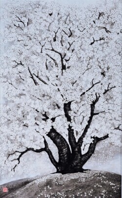 会員 平山 尚子 桜花爛漫 80号M 日本画 会員 平山 尚子 桜花爛漫 80号M 日本画