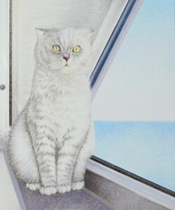 一般 山下 純子 お気に入りの場所 鉛筆画 一般 山下 純子 お気に入りの場所 鉛筆画