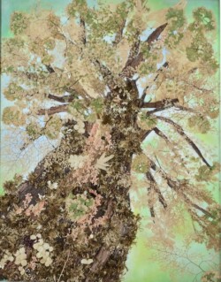 一般 佐藤 綾子 樹齢 ミクストメディア 一般 佐藤 綾子 樹齢 ミクストメディア