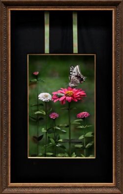 理事 Kaiko Etsuko 開高 悦子 3Dシャドウボックスアート 追憶の夏 900×600 理事 Kaiko Etsuko 開高 悦子 3Dシャドウボックスアート 追憶の夏 900×600