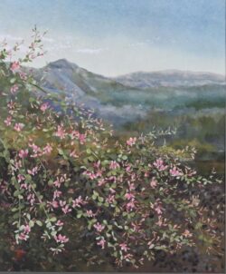 会員努力賞 会 員 Machida Masae 町田 政江 紙絵 萩寺より武甲山を見る 20p 会員努力賞 会 員 Machida Masae 町田 政江 紙絵 萩寺より武甲山を見る 20p