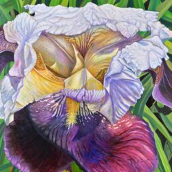 理 事 Hidari Tokie 左 時枝 油彩画 女神の虹(ギリシャ神話)80S 理 事 Hidari Tokie 左 時枝 油彩画 女神の虹(ギリシャ神話)80S