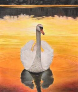 一般 Tsukiyama Kannosuke 築山観之助 色鉛筆画 明鏡止水 10F 一般 Tsukiyama Kannosuke 築山観之助 色鉛筆画 明鏡止水 10F