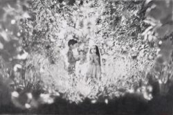 一般 Fujisawa Masaki 藤澤 真樹 鉛筆画 小さな恋の始まり 一般 Fujisawa Masaki 藤澤 真樹 鉛筆画 小さな恋の始まり