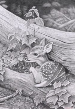 奨励賞 会友推挙 一般 Yuasa Ryoko 湯浅 亮子 鉛筆画 母待ち 728×515 奨励賞 会友推挙 一般 Yuasa Ryoko 湯浅 亮子 鉛筆画 母待ち 728×515