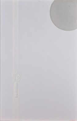 一般 朝野 俊一 2025 願 40M 一般 朝野 俊一 2025 願 40M